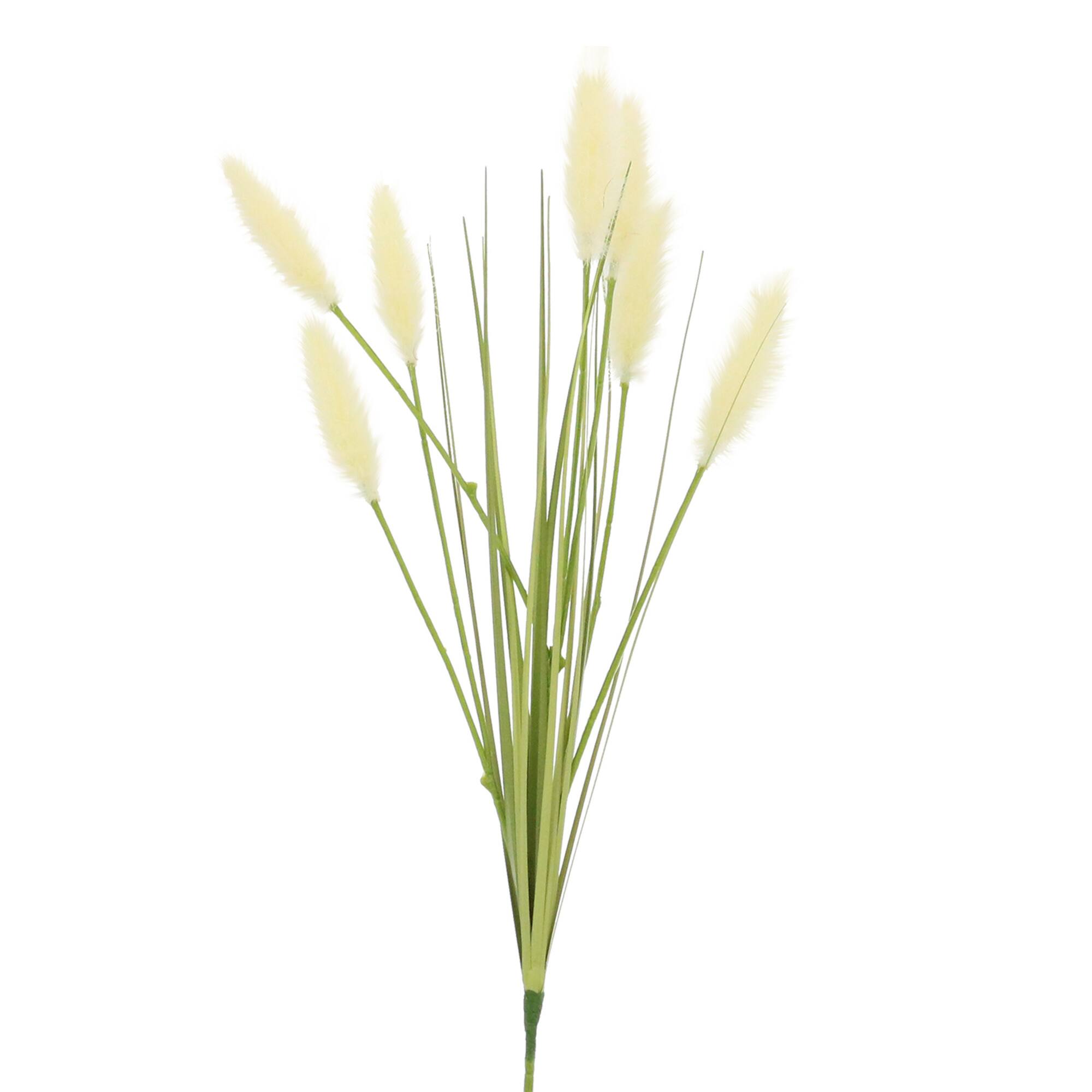 Cream Bunny Tail Stem by Ashland®